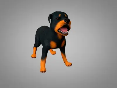 Dog Rottweiler Low-poly 3D model
