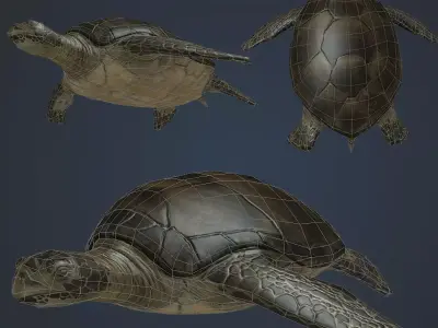 Sea Turtle Low-poly 3D model