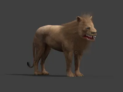 low poly Lion 3D model