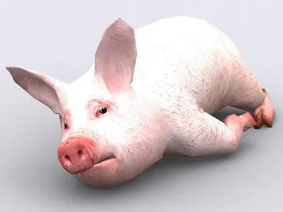 3DRT - Piglet Low-poly 3D model