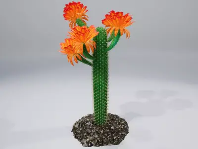 Cactus GF 3D model