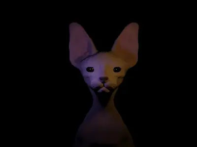 3D Model for a sphynx cat  3D model