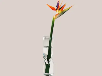 Strelitzia flower 3D model