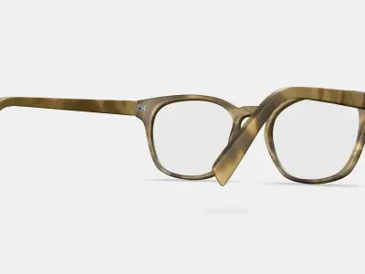 Felix Eyeglasses in Sandalwood Matte 3D model