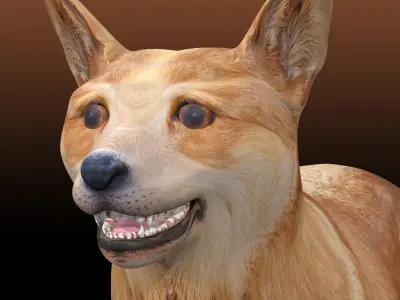 Corgi - Dog Low-poly 3D model