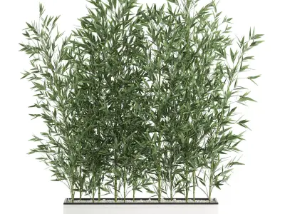 Bamboo bush for the interior in a white flowerpot 579 3D model