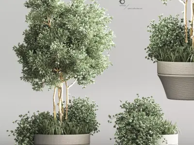 indoor plant stand 55 3D model