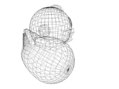 Toys - Duck 3D model