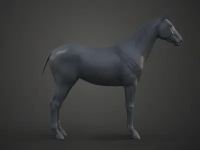 Horse Model 3D model