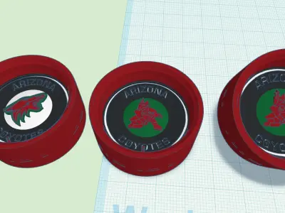NHL Rims Arizona Coyotes 3D print model