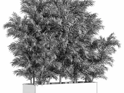 Palm in Plant Box 2 3D model