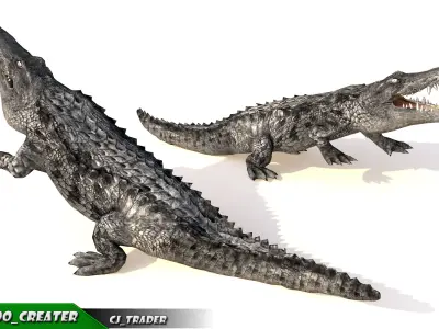 LowPoly Crocodile Rigged 3d model Low-poly 3D model