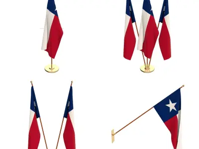Texas Flag Pack 3D model