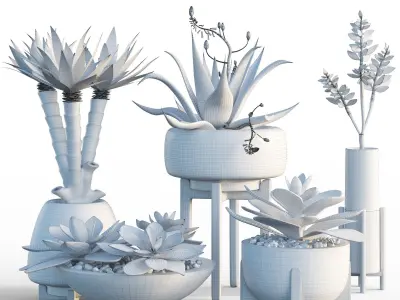 Plants collection 12 3D model