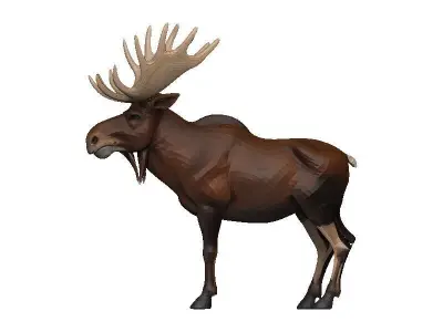 Moose Low-poly 3D model get