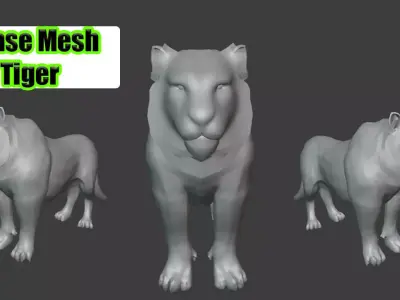 Tiger Base Mesh For games and animation Low-poly 3D model