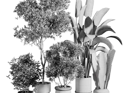  indoor plant 518 3D model