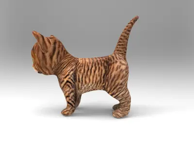 3D Cartoon Cat Animated Model Low-poly 3D model