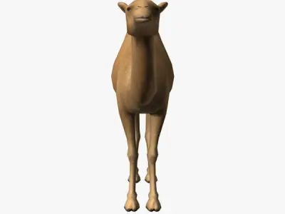 Camel Low-poly 3D model