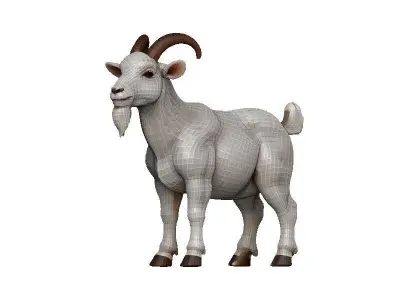Goat-Goat Low-poly 3D model