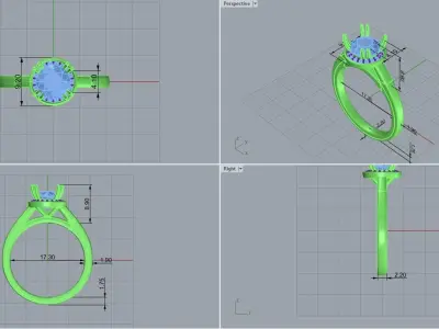 ring code  473 3D print model