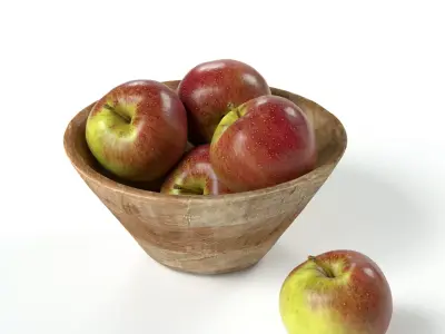 XENOS - Wooden Bowl 02 3D model