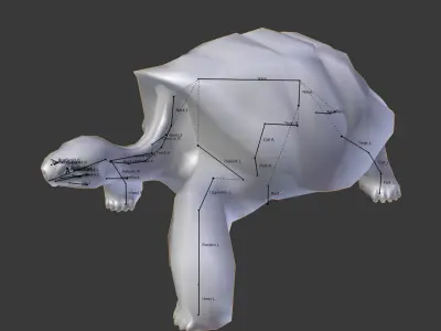 Giant tortoise 3D model