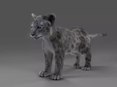 Fur Baby Snow Leopard No Rigged  Low-poly 3D model