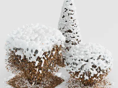 Dwarf Yaupon Holly Box Spherical Cone Winter Free 3D model