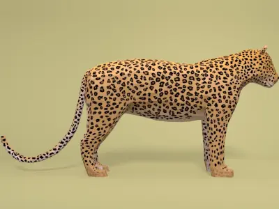 Low Poly Cartoon Leopard Low-poly 3D model