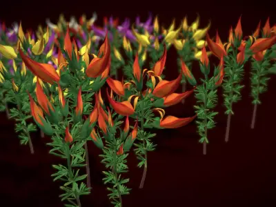 Flower Lotus Berthelotii Low-poly 3D model