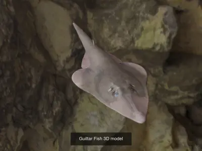 Longtail tuna-Guiltar Fish 3D model 3D Model Collection