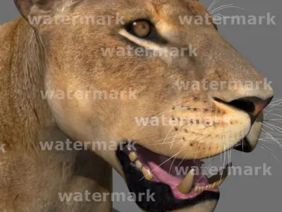 The Ultimate Lioness - 3d model 3D model