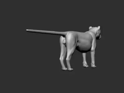 LION Model 3D model