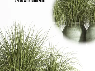 plant outdoor set 01 3D model