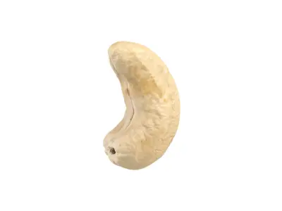 Photorealistic Cashew Nut 3D Scan 3D model