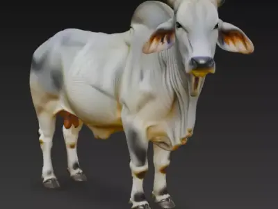 Brahman Bull 3D Model Low-poly 3D model