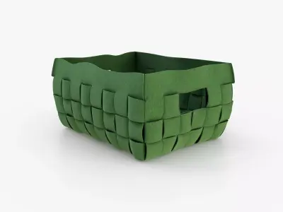 Polyester Basket Green 3D model