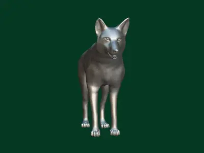 Indian Gray Wolf Low-poly 3D model