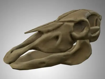 Horse Skull Low-poly 3D model
