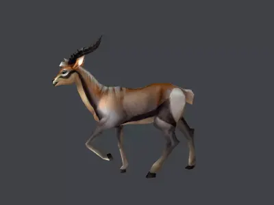 Animated Gazelle Antelope Springbok Low-poly 3D model