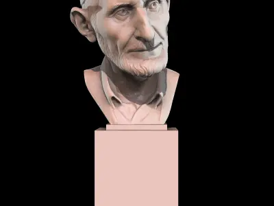 The Old Man Bust 3D print model