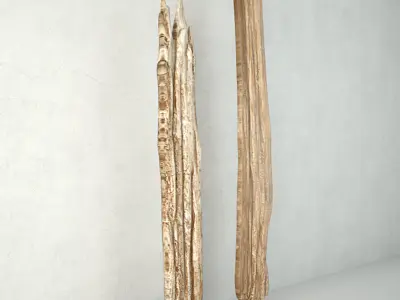 Natura Tall Root Wood 3D model