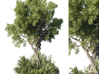 Garden plants - outdoor plant set 192 3D model