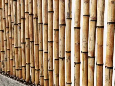 Bamboo decor n29 3D model