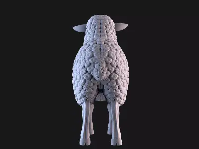 Sheep 3D print model