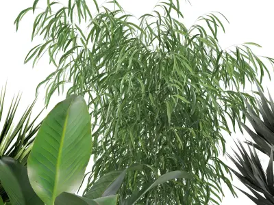 Plants collection 132 3D model