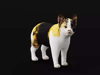 Calico Kitten Cat Low-poly 3D model