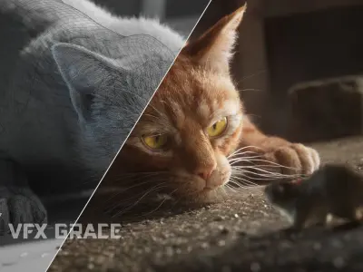 Orange Cat Animated VFX Grace 3D model
