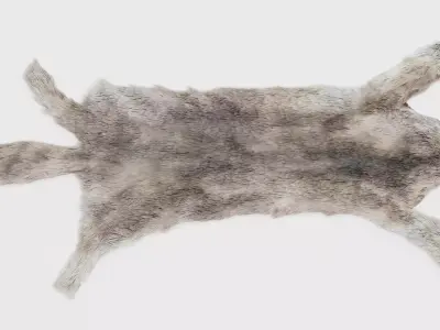 Wolf Skin Rug - Realistic Animal Hide 3D model